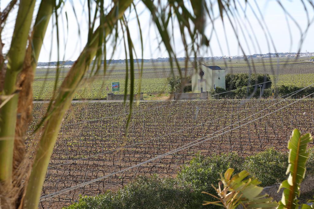 Eco Green La Vigna Леверано Номер фото
