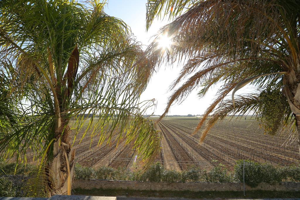 Eco Green La Vigna Леверано Номер фото
